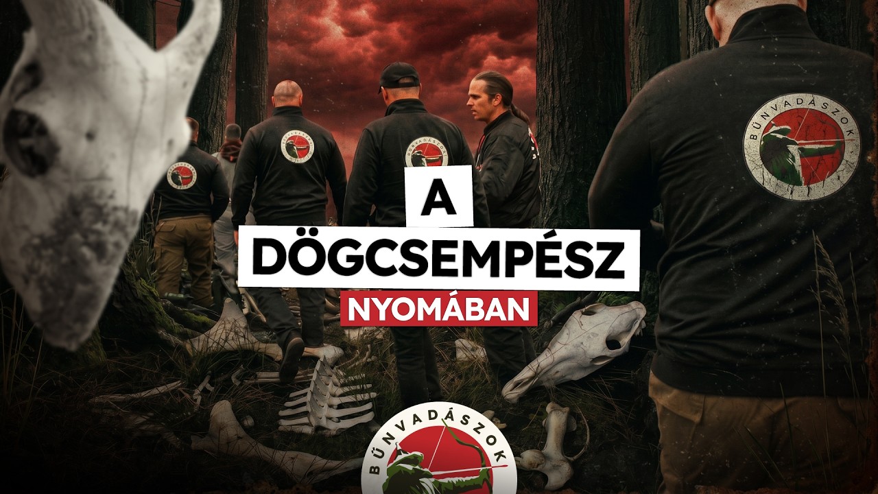 DÖGCSEMPÉSZ szennyezi a tájat a XXII. kerületben‼️ 😱⚡️ (Bűnvadászok 47.)