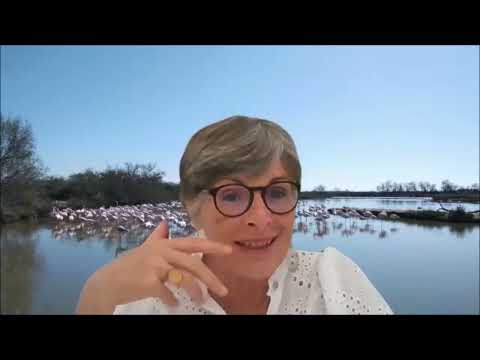 Et si notre alimentation parlait de notre histoire familiale?"avec Hélène Micollet