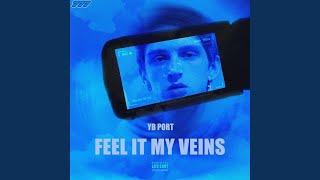 Feel it in my Veins Music Video