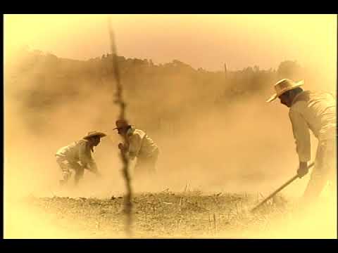 1   La historia del ejido