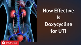 How Effective Is Doxycycline for UTI