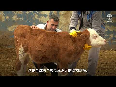 全球动物卫生投资新模式