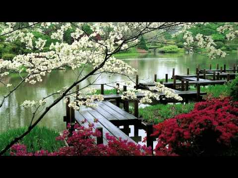3 HOURS "Zen Garden" | Relaxing Music | Sleep Music for Spa, Meditation, Therapy