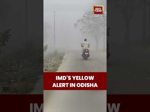 IMD's Yellow Alert In Odisha | #shorts #IMD #weatherupdate #coldwave #odishanews #cold #weather