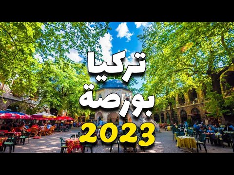 الفيديو