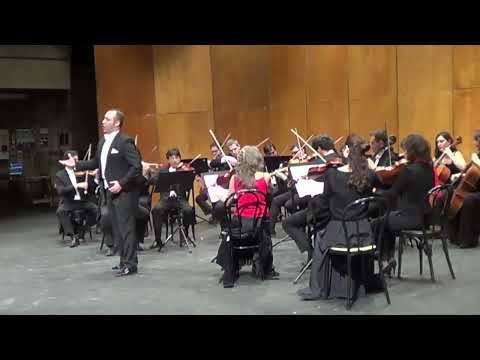 Classical Wedding Singer in Tuscany Italy - Live Music