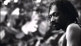 Snoop Lion ft Busta Rhymes & Chris Brown - Remedy ( Reincar
