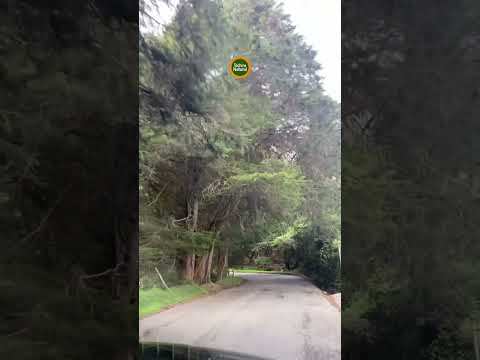 Mesa de Aura y Páramo El Zumbador. Montañas, paisajes, frío, gastronomía. Táchira. 🇻🇪