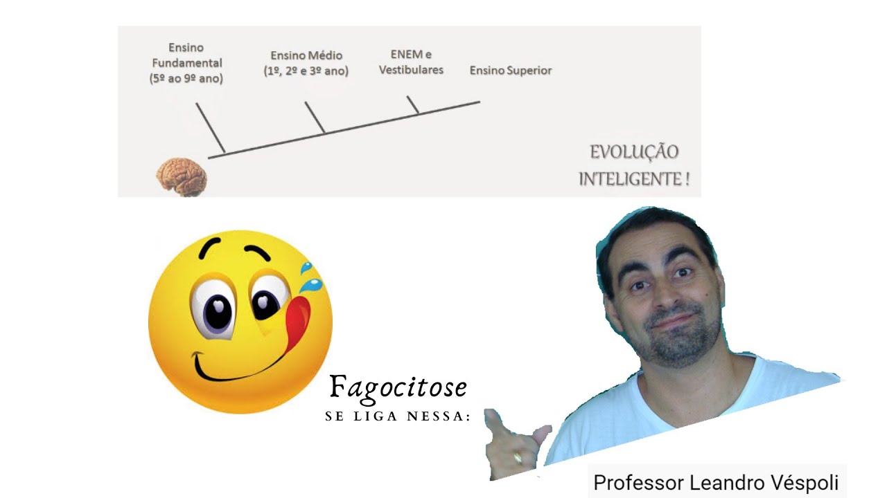 #Citologia: Endocitose e exocitose
