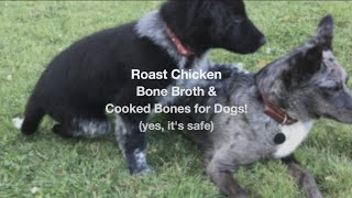 How to Give Dogs Cooked Chicken Bones Safely!