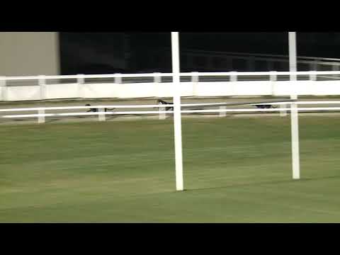 2021.11.19. 06. futam - WGO Bajnokság