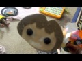 DORA THE EXPLORERS S ICECREAM TERROR