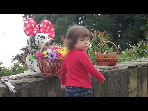 One beautiful evening in Sochi with Frank Sinatra