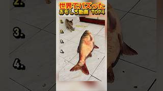 【俺の厳選】世界でバズった動画集🐾Part31