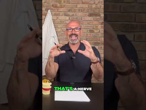 Nerve Structure Explained: Myelin's Protective Role