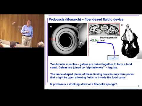 Warren Lecture Series - Kostya Kornev (Apr 3, 2015)