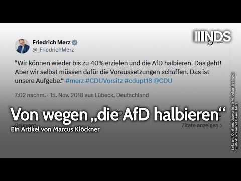 Von wegen „die AfD halbieren“ | Marcus Klöckner | NDS-Podcast Video-Thumbnail von YouTube
