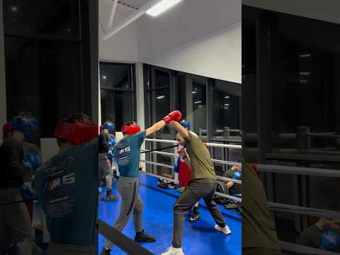 Knocked down punching work in one best #boxing #boxingtraining #shorts