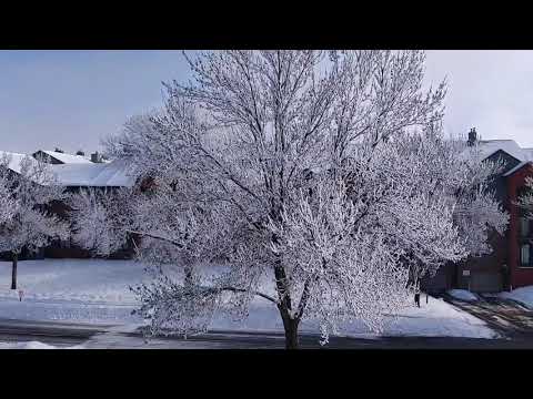 Minnesota snow fall | Beautiful snow video| Typical winter day in Minnesota