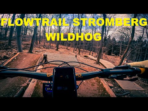 Flowtrail Stromberg | Wildhog verinnerlichen