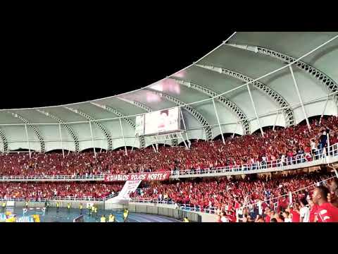 "La hinchada y el aguante vs Tolima" Barra: Baron Rojo Sur • Club: América de Cáli