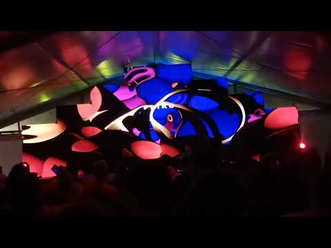 priku - zebra & marathon