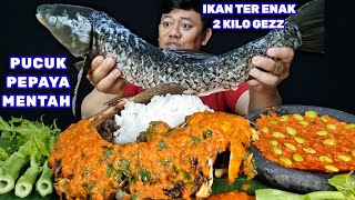 Download lagu MAKAN IKAN DEWA⁉️ NGEUNAH BANGET IKAN DEWA DI SAMBEL KEMANGI LALAP DAUN PEPAYA MENTAH SAMBEL PETAI  mp3