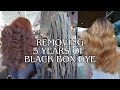 Black Box Dye To Blonde In One Appointment Bleaching Garnier Box Dye Without Damage Color Oops
