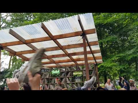 Shoes in the air for Motor City Drum Ensamble - Dekmantel Festival Amsterdam 2017