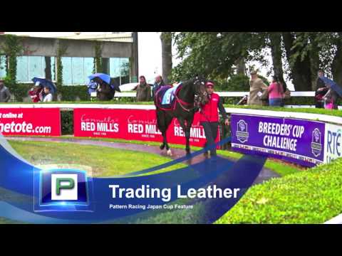 Pattern Racing Trading Leather The Japan Cup