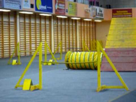 BALTAZAR Agility "A1" sobota