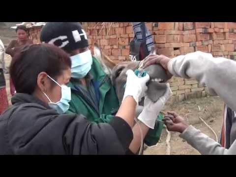 Health camp at brick factory