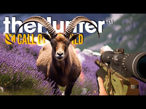 Ich habe einen KOMPLETTEN TAG auf Cuatro Colinas verbracht - theHunter Call of the Wild
