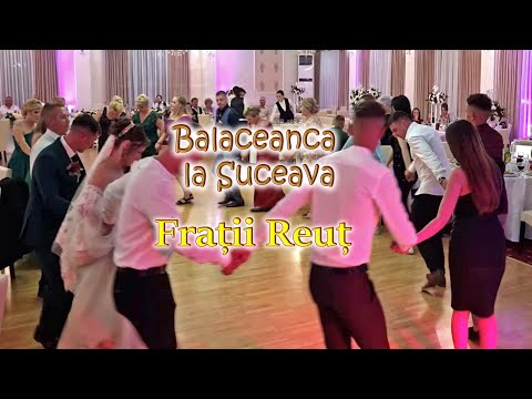 Balaceanca la Suceava la Nunta Live 2023 @FratiiReut