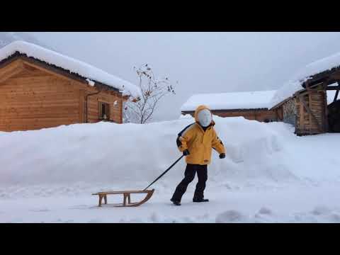 The sled - Larval Mask