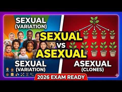 GCSE Biology: Sexual vs Asexual Reproduction Exam Masterclass