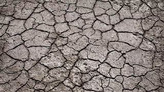 The Importance of Soil