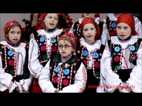 eBihoreanul.ro: Colindatori din Spinus la Bihoreanul