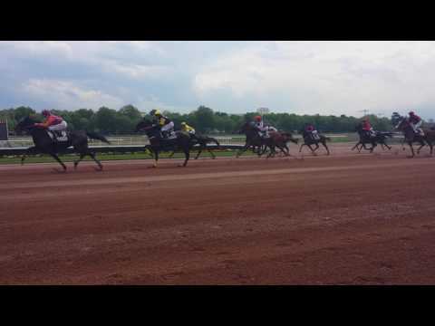 Ducs de Normandie le 17 mai 2017 à Caen