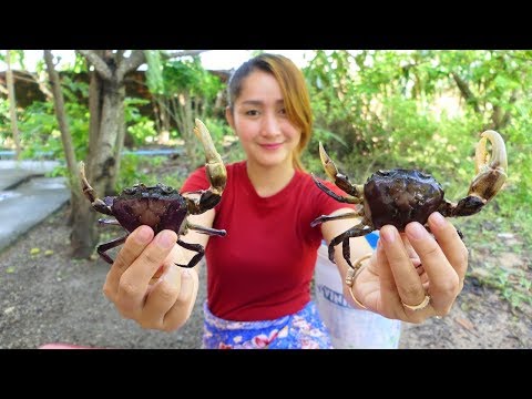 Yummy Rice Field Crab Stir Fry Recipe - Rice Field Crab Recipe - Cooking With Sros Video