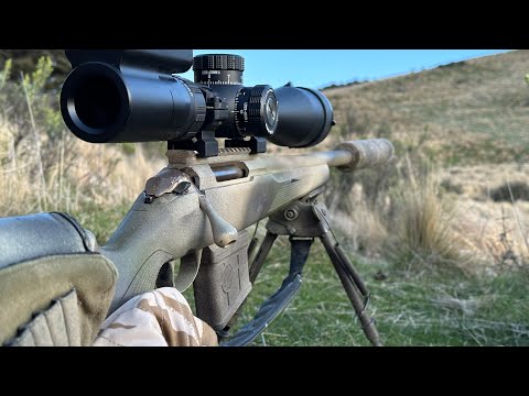 Hog Hunting overnight Mission | 223 at 950 yards | Tikka Varmint