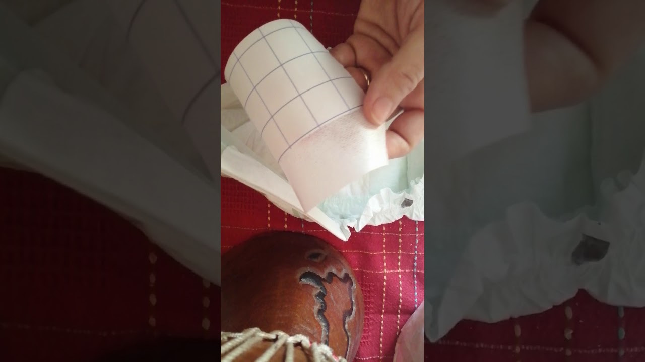 Pannolini per cani fai da te