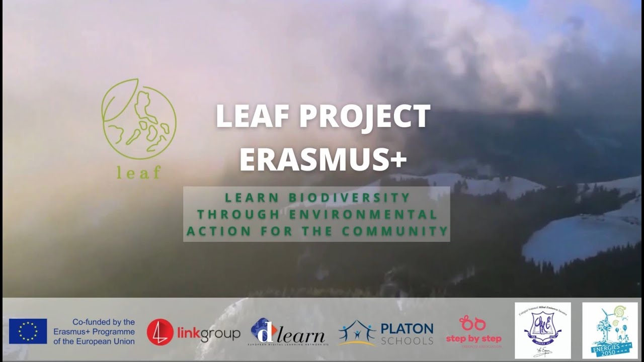 [LEAF] Project introduction (english subtitles)