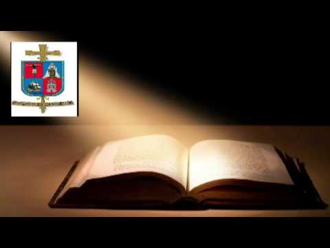 Homilia de hoy 23 de octubre del Padre Juan José Xeque