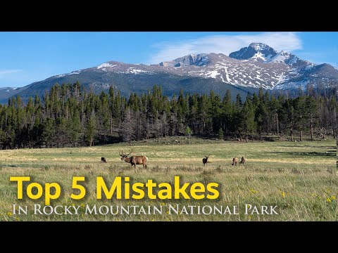 Avoid these 5 mistakes when visiting Rocky Mountain National Park