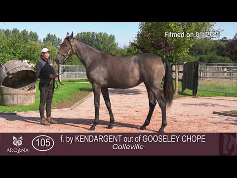 2020 Deauville Select Sale - lot 105 f. Kendargent x Gooseley Chope