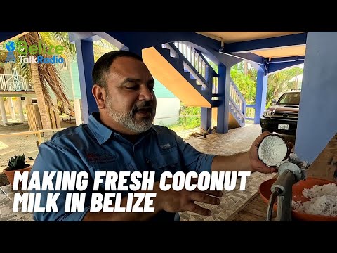 Making Fresh Coconut Milk in Belize | Belize Talk Radio with Macarena Rose