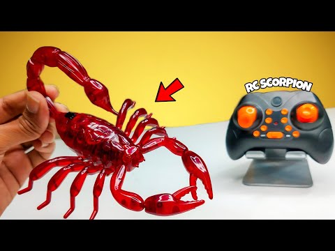 RC Realistic Scorpion Prank Gadget Unboxing & Testing