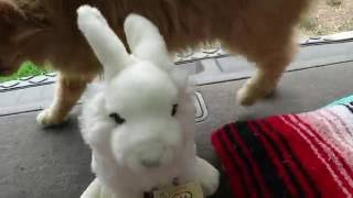 Talkin' Talkin' Talkin' Gotta Keep on Talkin'