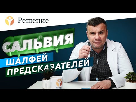 Сальвия дивинорум: как действует шалфей предсказателей? Эффекты и последствия сальвии (галлюциноген)